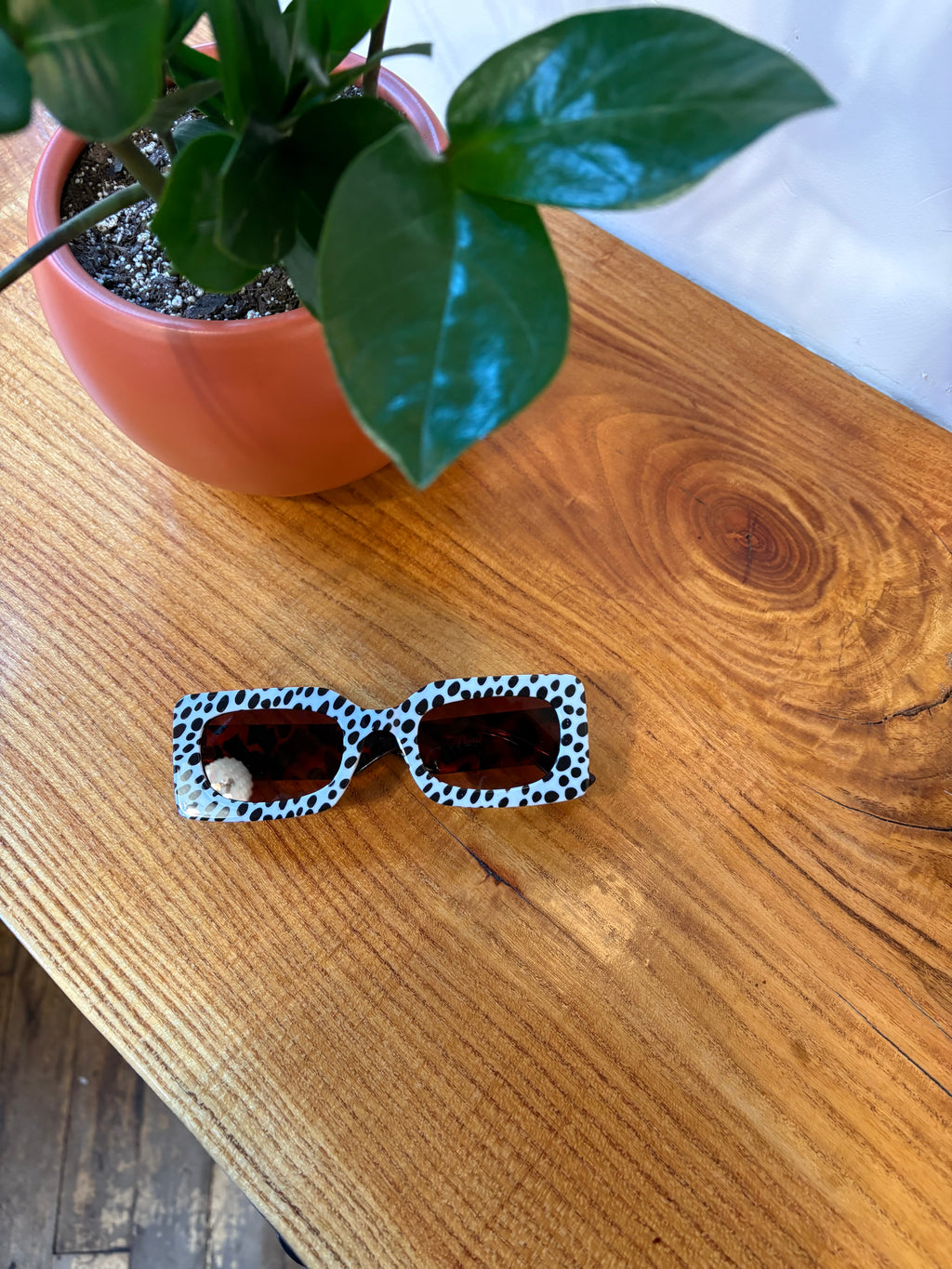 Dalmatian and Tortoise shell sunnies
